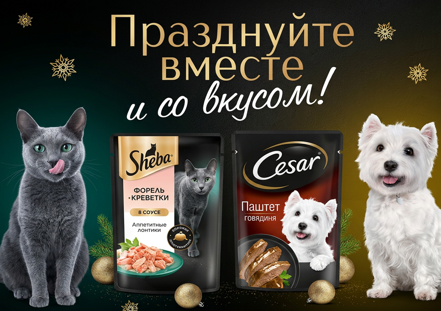 SHEBA × CESAR — Празднуйте вместе и со вкусом